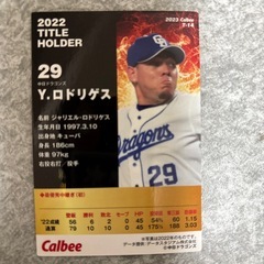 プロ野球チップス 2022タイトルホルダー 中日ドラゴンズ　Y . ロドリゲスの画像
