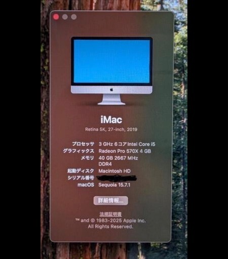 メモリ40GB増設済】Apple iMac (Retina 5K， 27-inch， 2019) 【公式通販】