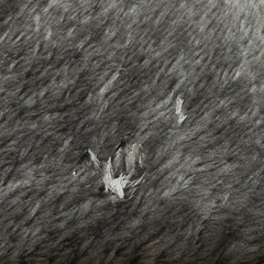 【ニトリ】ラグ Nウォーム 130×185cmの画像