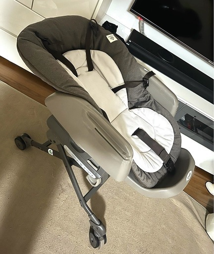 ネムリラ　　　オートスウィング　2021年購入