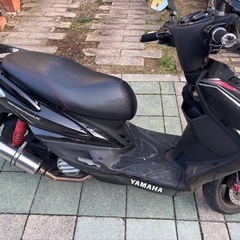 シグナスの画像