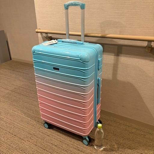 スーツケース　特大　大型　旅行　大きいサイズ　Lサイズ　キャリーバッグ　ケース