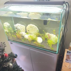 水槽ライトの画像