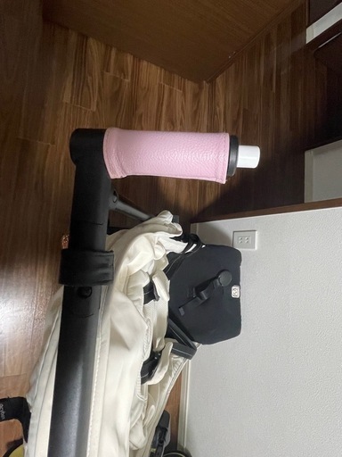 サイベックスリベル2025年購入