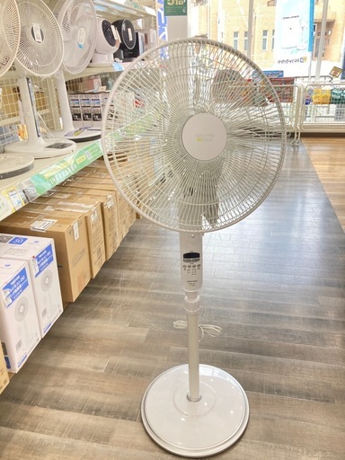 【トレファク高槻店】安心の6ヶ月間保証！取りに来られる方限定！APIX（アピックス）のＤＣリビング扇風機のご紹介です！