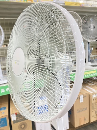 【トレファク高槻店】安心の6ヶ月間保証！取りに来られる方限定！APIX（アピックス）のＤＣリビング扇風機のご紹介です！