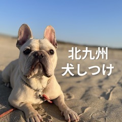 【犬しつけ】出張訓練サービス（北九州）
