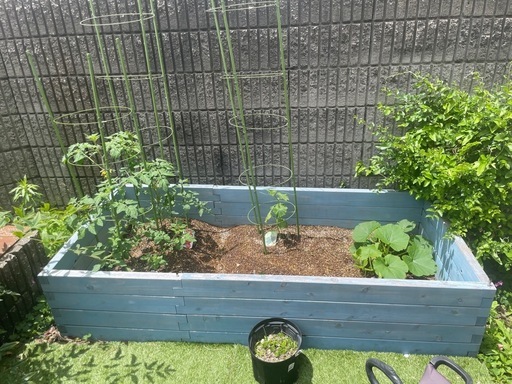 レイズドベッド　家庭菜園