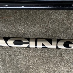 シナノスノーポールレーシングの画像