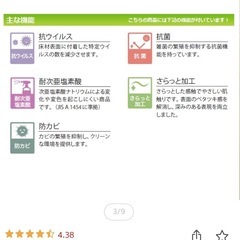 JOURNAL STANDARD FURNITURE　フロアシート の画像