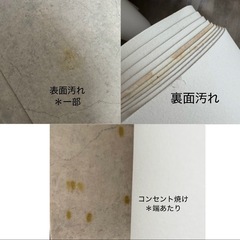 JOURNAL STANDARD FURNITURE　フロアシート の画像
