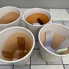 植木鉢（陶器製）の画像