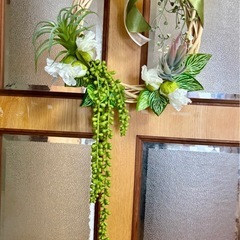 福岡県久留米市長門石多肉植物グリーンリースの画像