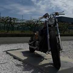 HONDA  Steed400の画像