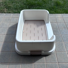 犬トイレの画像