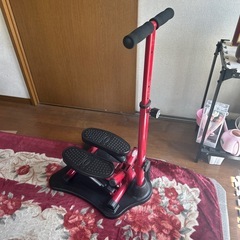 NICE DAYステッパー　ハンドル　マット付き
の画像