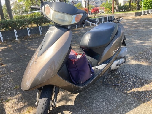 DIO【自賠責1年付き】