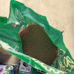 【猫砂】他、もらって下さいの画像