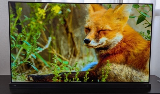 REGZA【タイムシフトマシン】55型 4K有機ELテレビ