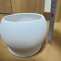 観葉植物　ポトス　鉢込みの画像