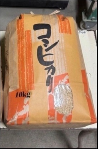 令和7年　コシヒカリ　農家直送　玄米