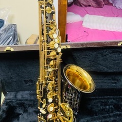 【美品】MAXTONE アルトサックス ブラック仕上げ 彫刻入り ケース付きの画像