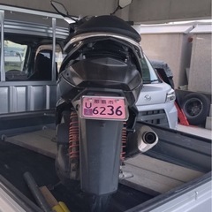 シグナスX 2型の画像