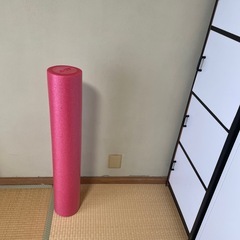 ストレッチポールの画像
