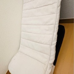 ペットスロープの画像