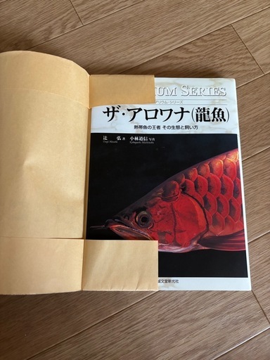 本