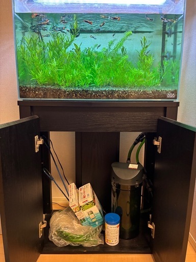 【受渡者決定
 】熱帯魚飼育セット
