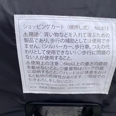 「ウォーキングキャリー i（アイ）カート」の画像