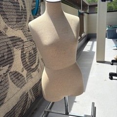 トルソーの画像