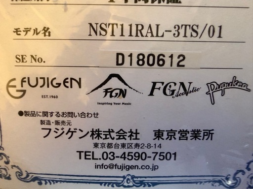 FGN エレキギター(NST 11RAL-3TS/01)