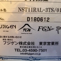 FGN エレキギター(NST 11RAL-3TS/01)の画像