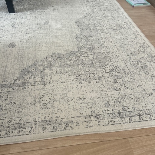 ザラホーム　ヴィンテージ調ラグ 200X300　