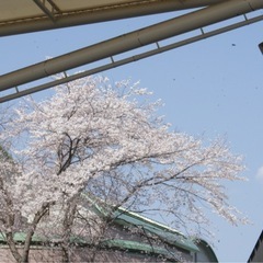 【最終値下げ】SONY α200 デジタル一眼レフ レンズセットの画像