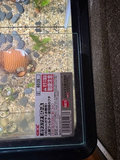 GEX水槽セット（魚・ライト・フィルター・装飾品一式）