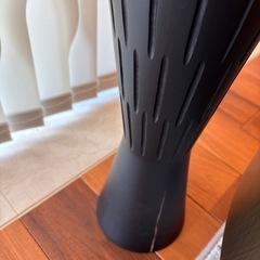 観葉植物の画像
