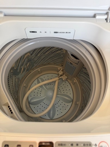 美品　ハイセンス（Hisense）HW-T55H  5.5kg 2024年製 全自動洗濯機　簡易乾燥付き