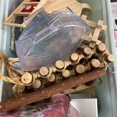 ハムスター 飼育セットの画像