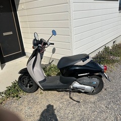 ホンダバイク    TodayF 黒とグレーのバイカラーの画像