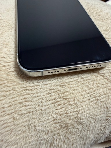 iPhone 12 Pro Max 256GB シルバー