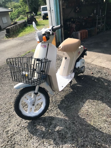 連休限定値下げ■ホンダスカイ50