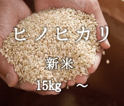 残２俵【新米】ヒノヒカリ　15kg or 1俵