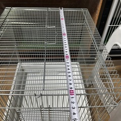 鳥かごの画像