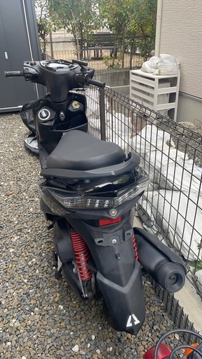 シグナス３型　黒色