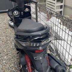 シグナス３型　黒色の画像