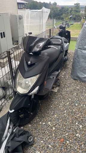 シグナス３型　黒色