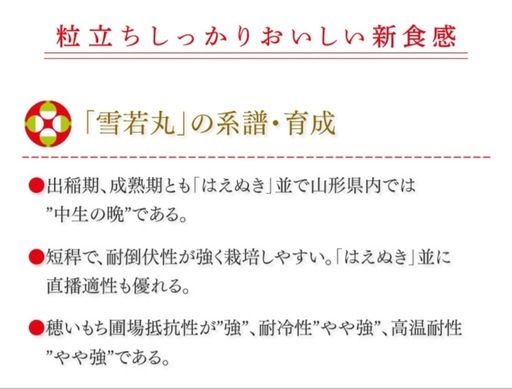 値下げ‼️雪若丸❗️新米山形特A 大粒で食べ応え抜群 20kg（5kg×4袋） 早い者勝ち‼️